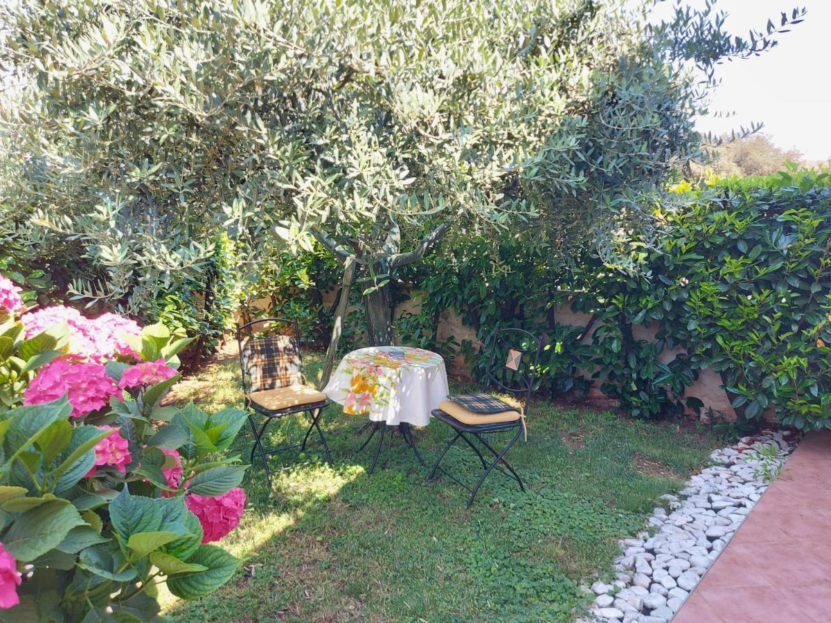 Apartment Alida