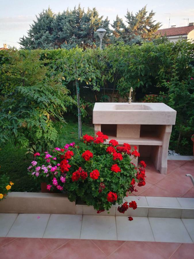 Alida Umag