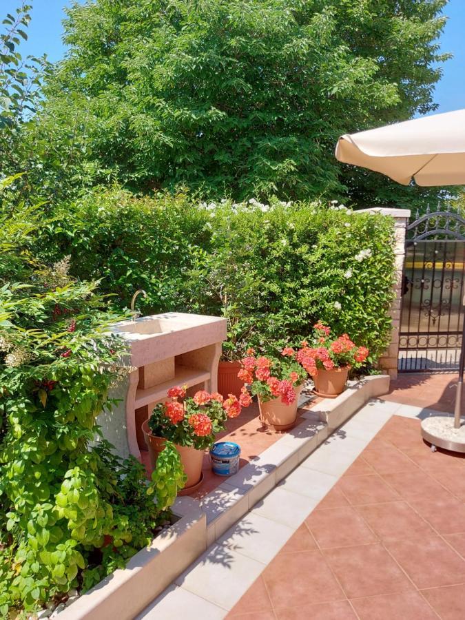 Apartman Alida *
